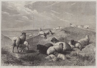 The Blessings of a Shepherd